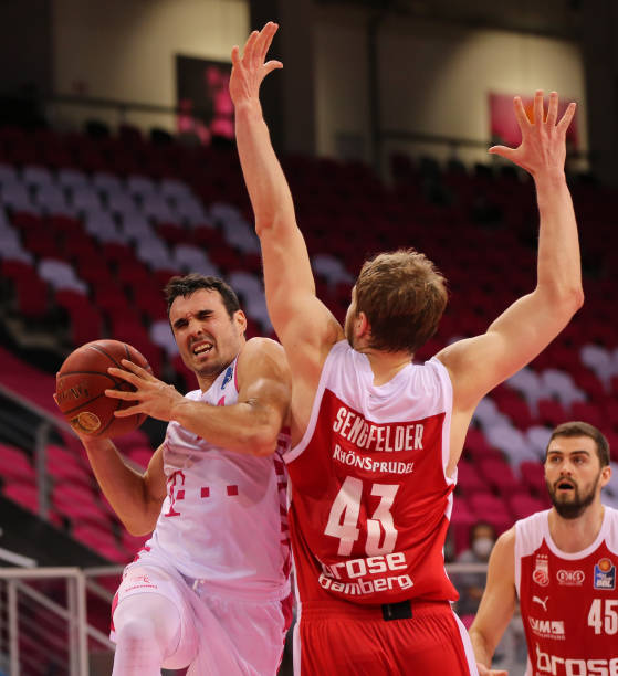 了黄蜂的节 了黄蜂的节